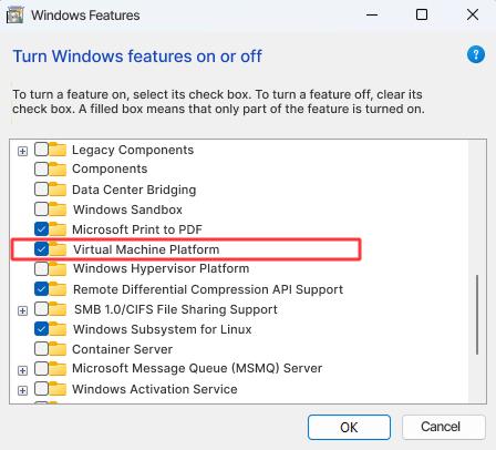 EN_Windows features1.jpg